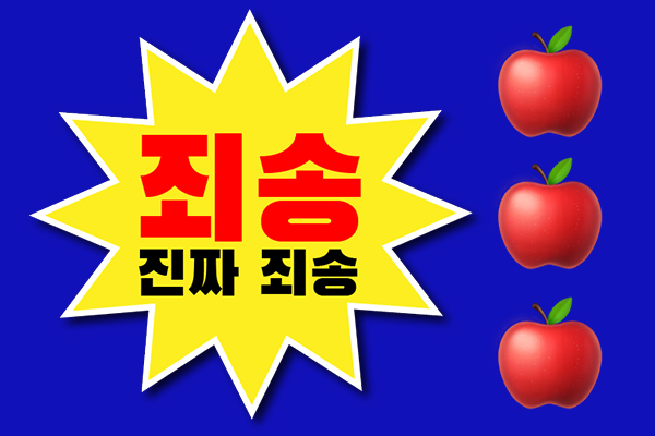 정말죄송합니다